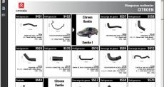 Catálogo generado al vuelo en PDF