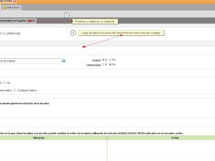 9) Contenido de Secci&oacute;n